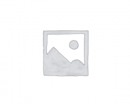Uncategorised